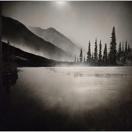 Clair de lune Solde