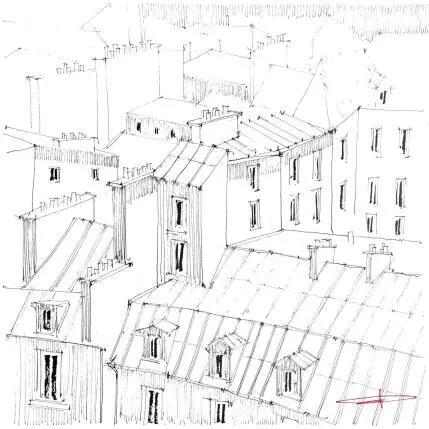 The roofs of Paris are for you ! Commande En Gros