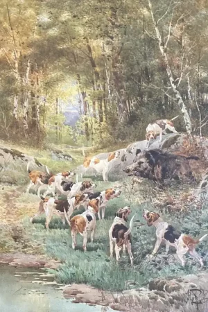 Offre Spéciale Hippolyte Gide, Ferme De Sanglier